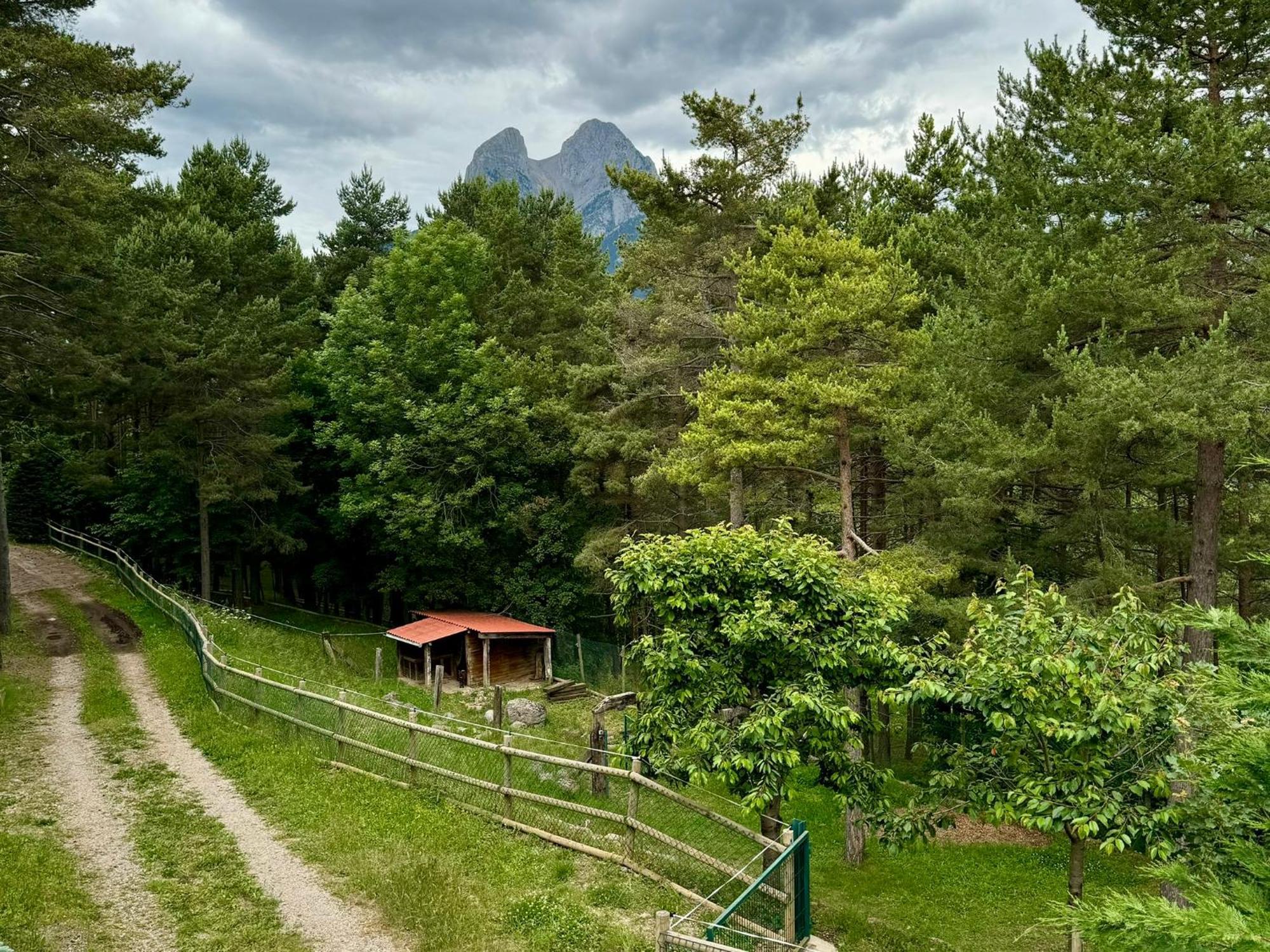 Vila Cal Roig - Pedraforca Saldés Exteriér fotografie